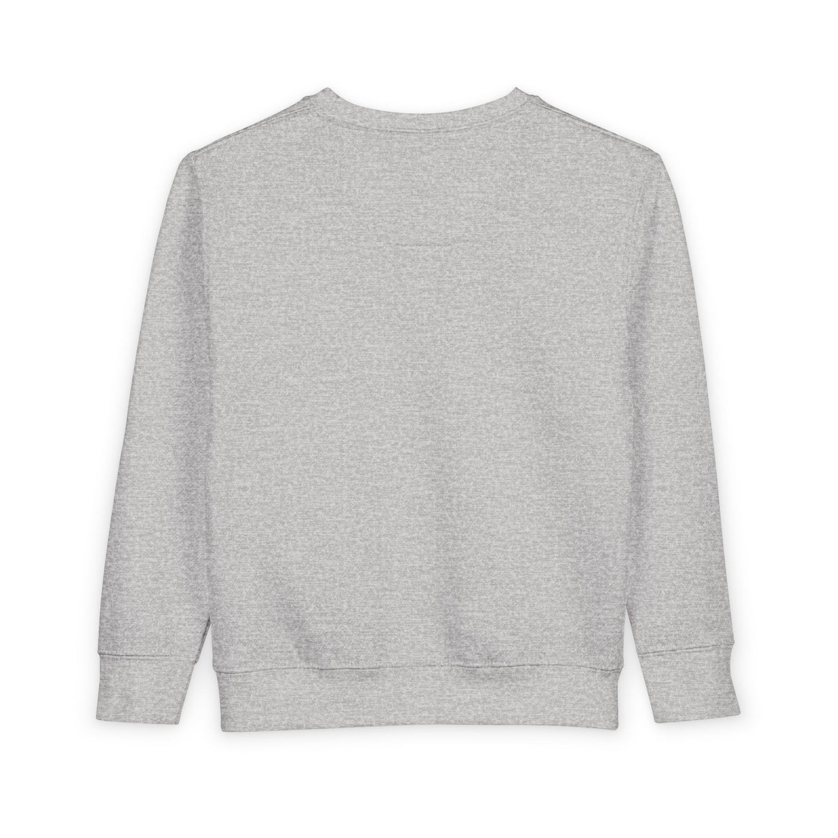 Toddler Sweatshirt — Minimalist Lion Head Graphic Kids Pullover