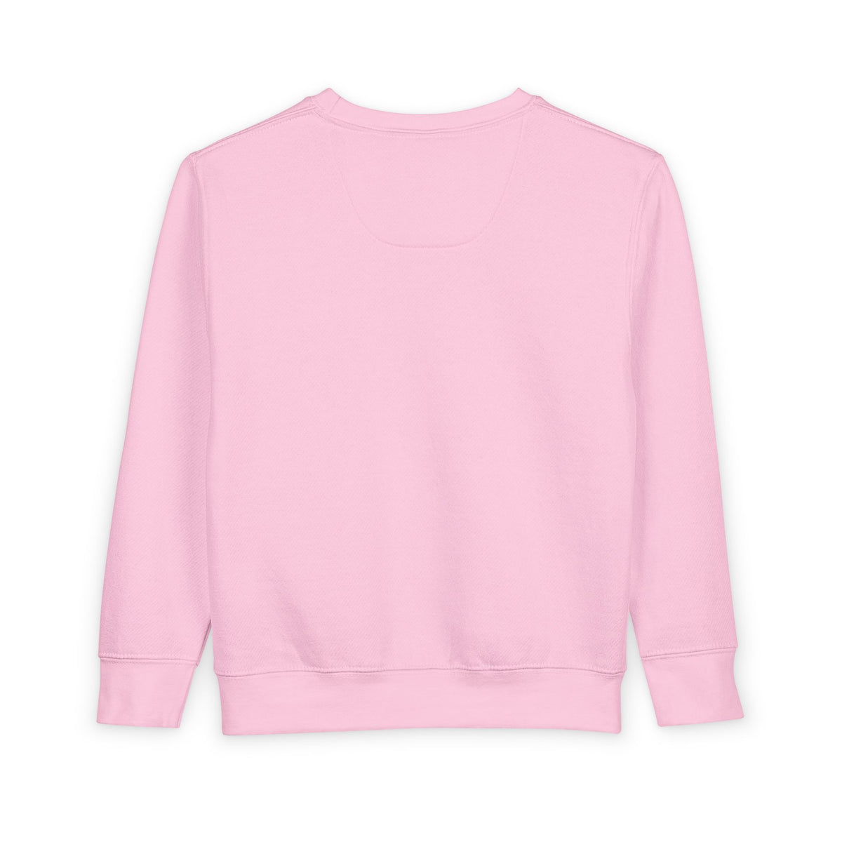 Toddler Sweatshirt — Minimalist Lion Head Graphic Kids Pullover